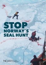 Last inn bildet i Galleri-visningsprogrammet, Plakater
