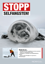Last inn bildet i Galleri-visningsprogrammet, Plakater
